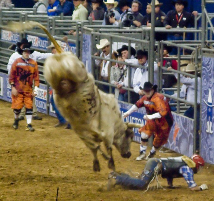 Houston Rodeo 2010